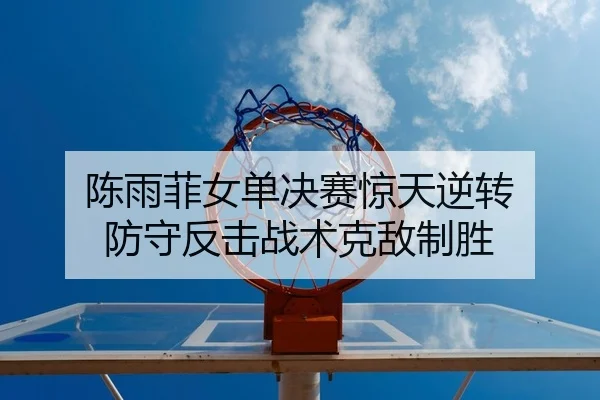 陈雨菲女单决赛惊天逆转 防守反击战术克敌制胜